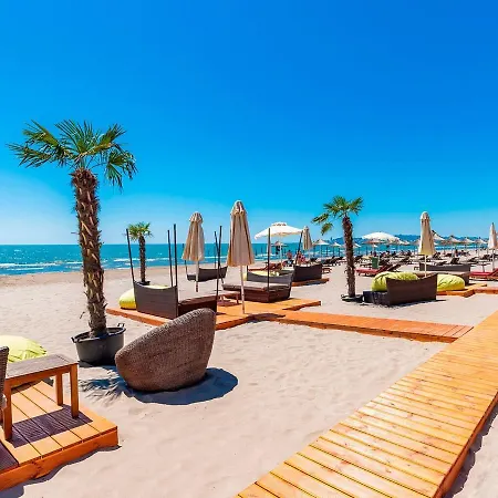 Daire In Front Of The *