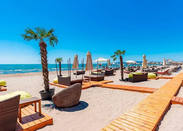 Daire In Front Of The *